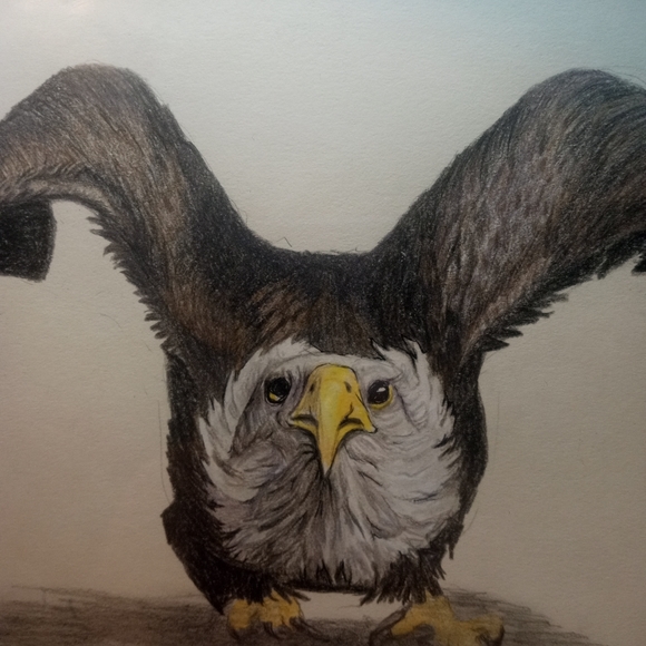 My own colored pencil art "freedom stance" - Picture 3 of 4